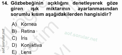 Soru 14