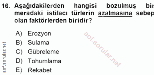 Soru 16