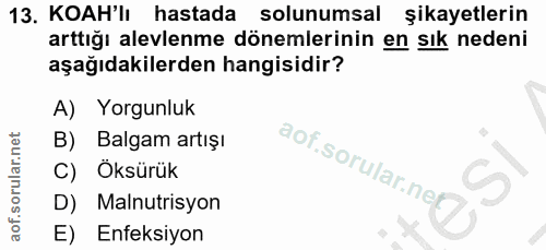Soru 13