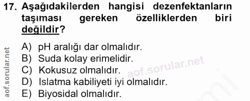 Soru 17