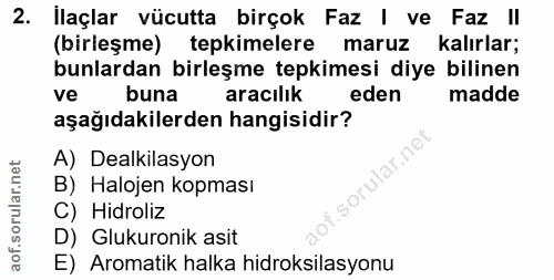 Soru 2