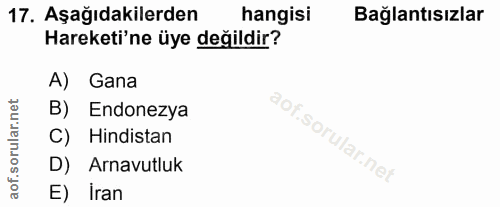 Soru 17