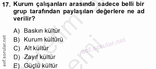 Soru 17