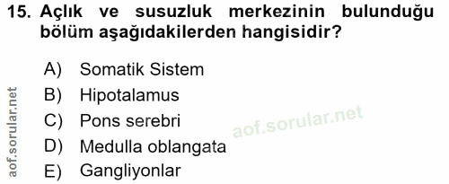 Soru 15