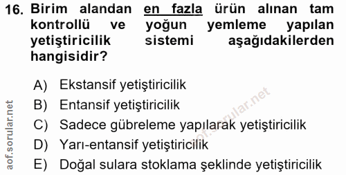 Soru 16
