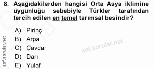 Soru 8