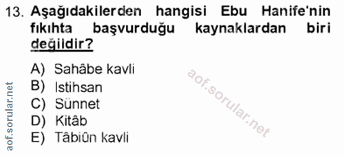 Soru 13