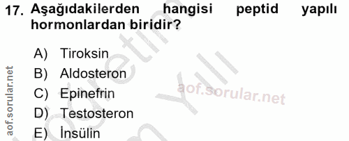 Soru 17