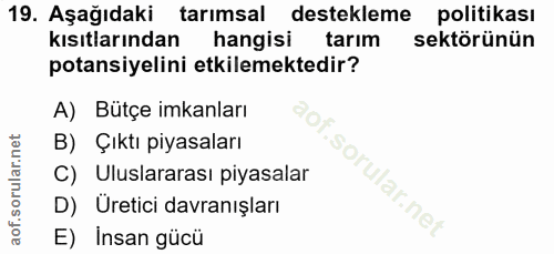 Soru 19