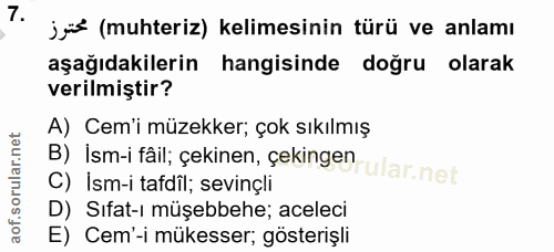 Soru 7