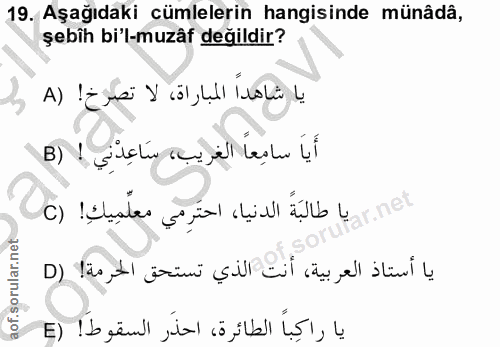 Soru 19