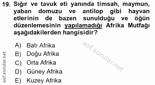 Soru 19