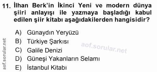 Soru 11