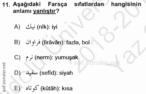 Soru 11