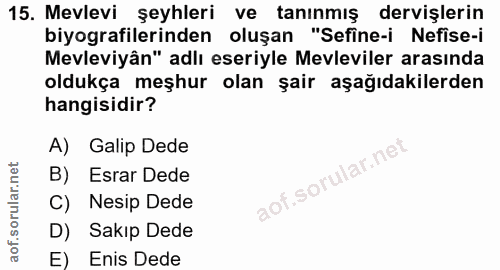Soru 15