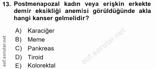 Soru 13