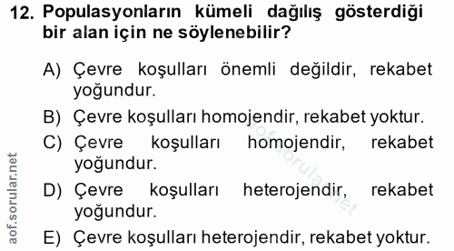 Soru 12