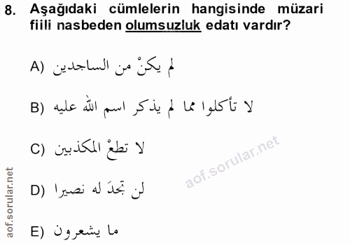 Soru 8