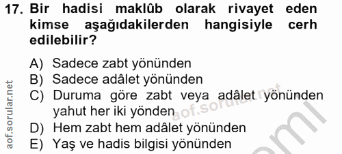 Soru 17