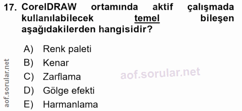 Soru 17