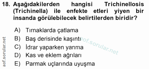 Soru 18
