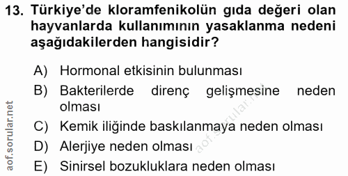 Soru 13