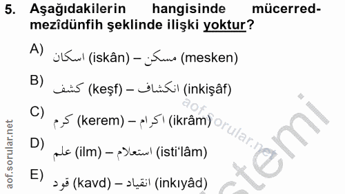 Soru 5