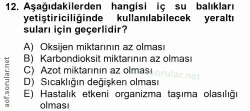 Soru 12