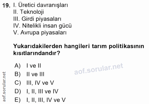 Soru 19