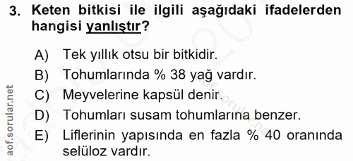 Soru 3