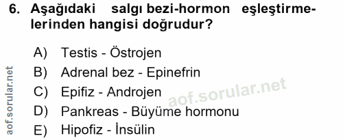 Soru 6