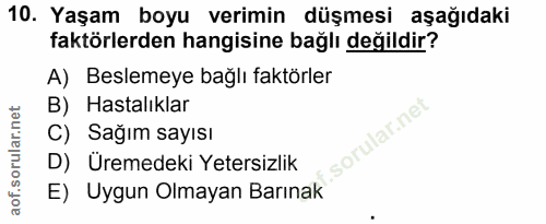 Soru 10