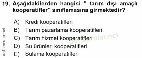 Soru 19