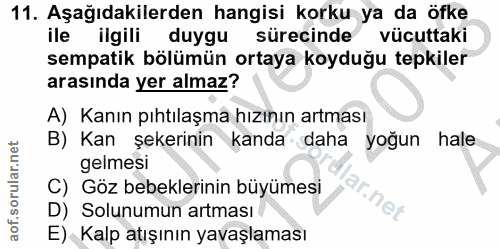 Soru 11