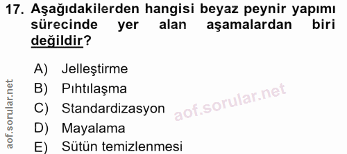 Soru 17