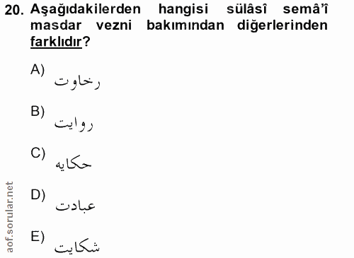 Soru 20