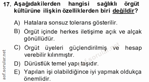 Soru 17