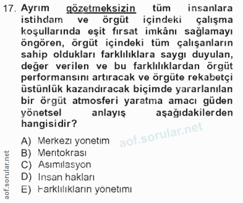 Soru 17