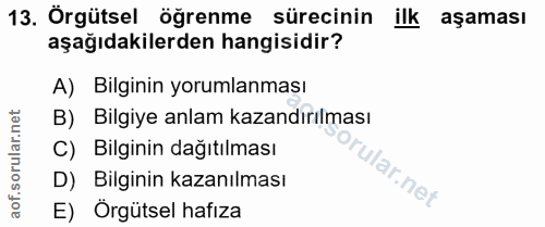 Soru 13