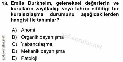 Soru 18