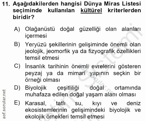 Soru 11