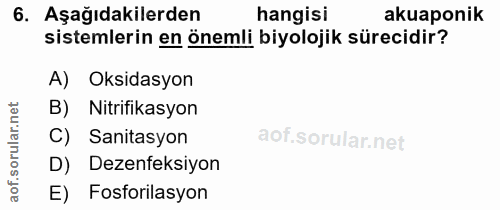 Soru 6
