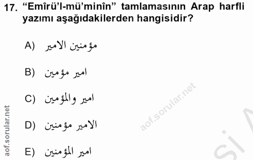 Soru 17