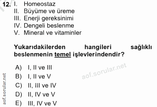 Soru 12
