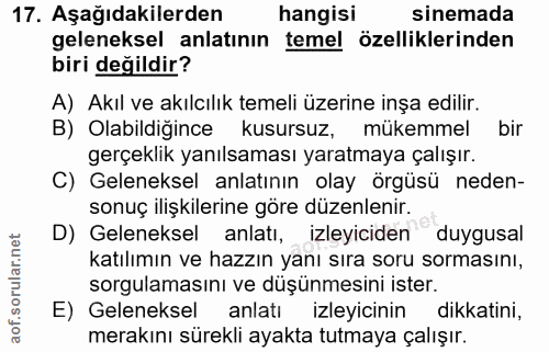 Soru 17