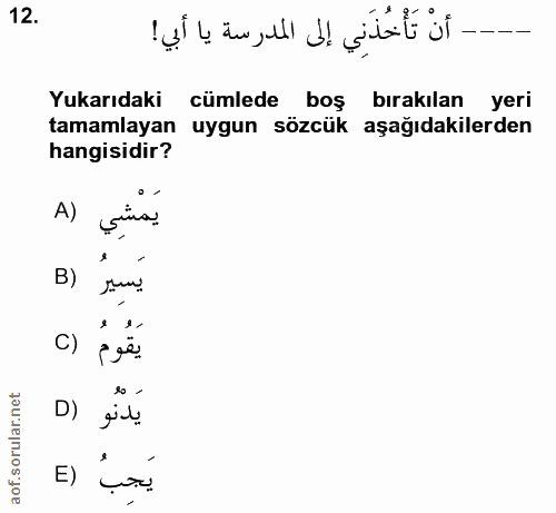 Soru 12