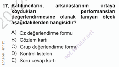 Soru 17