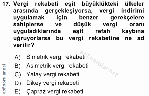 Soru 17