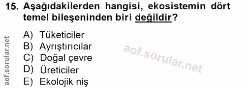 Soru 15