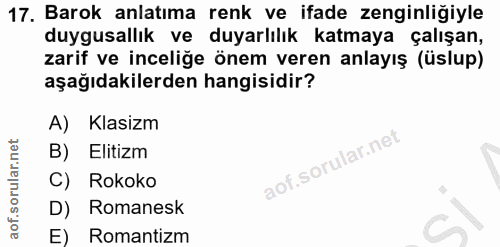 Soru 17